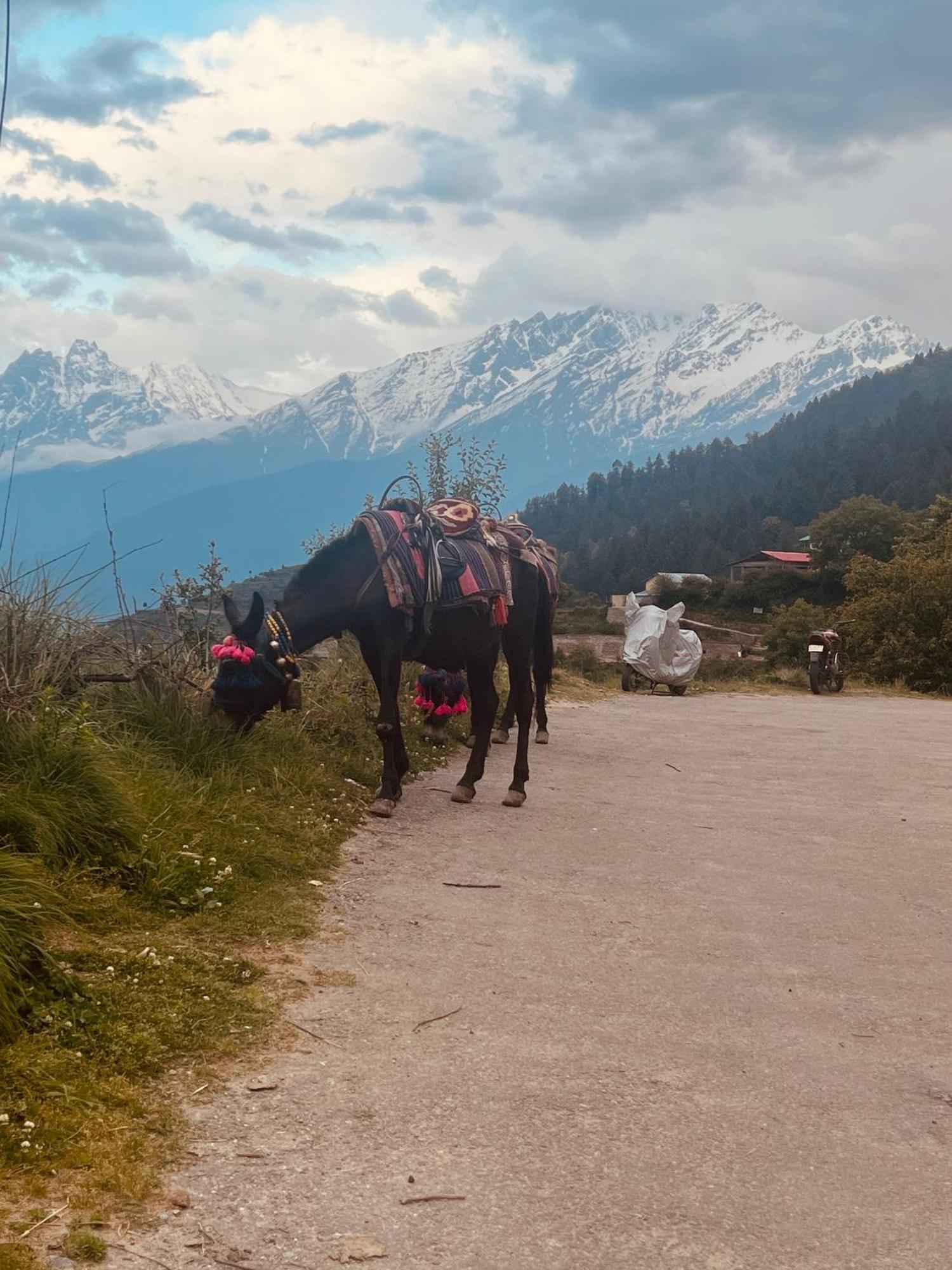 Faraway Cottages, Auli Joshīmath Kültér fotó