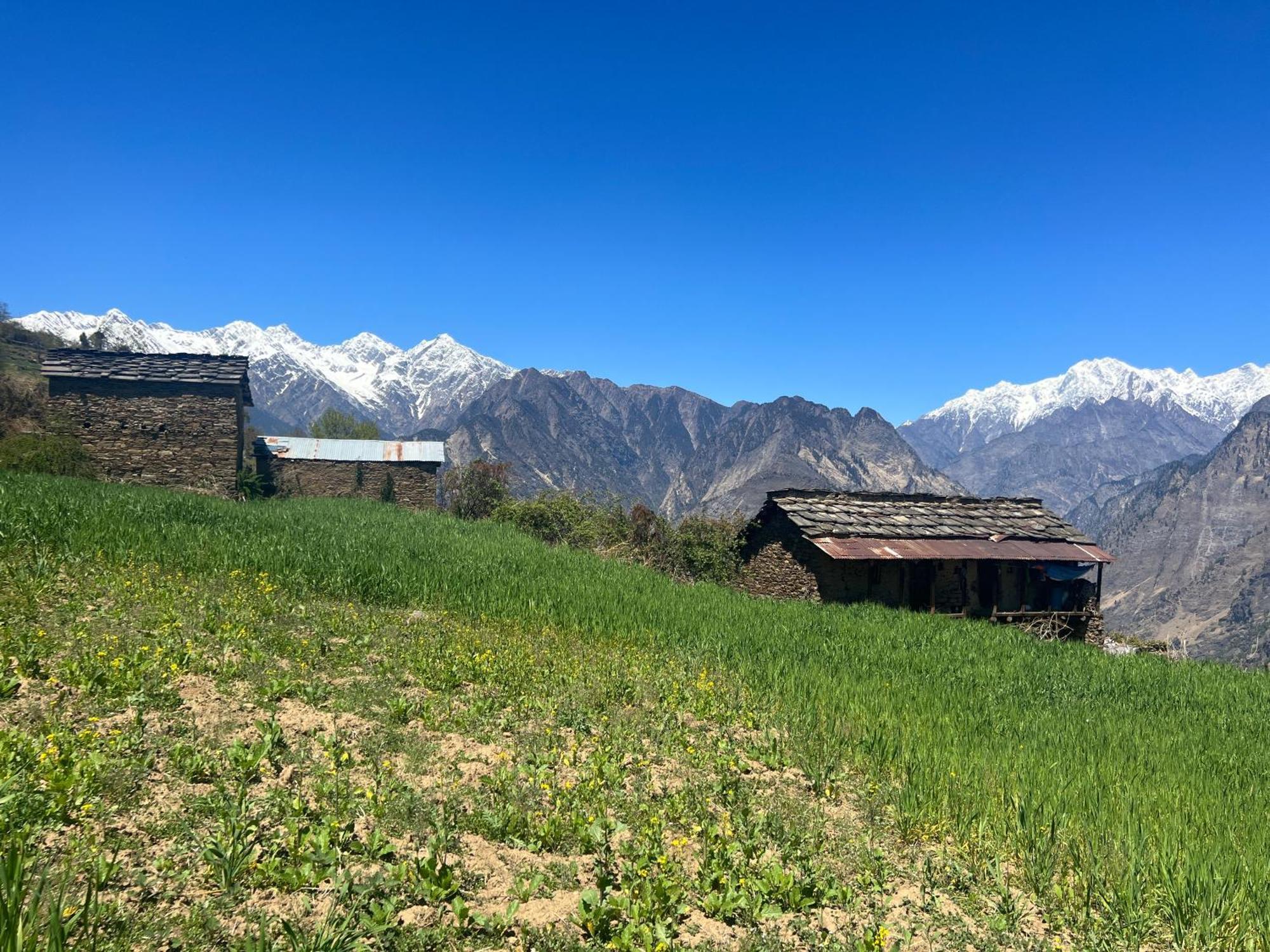 Faraway Cottages, Auli Joshīmath Kültér fotó