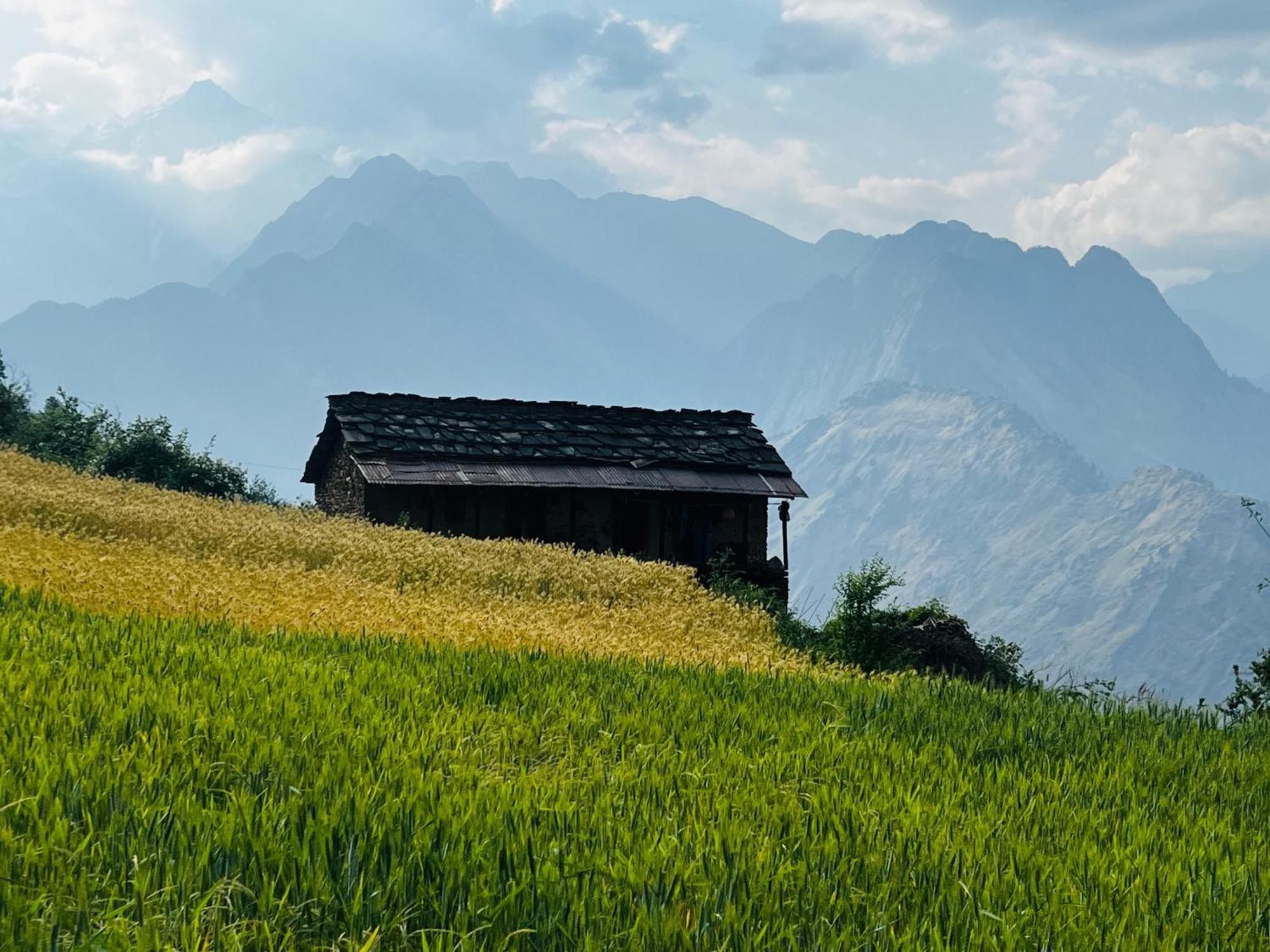 Faraway Cottages, Auli Joshīmath Kültér fotó